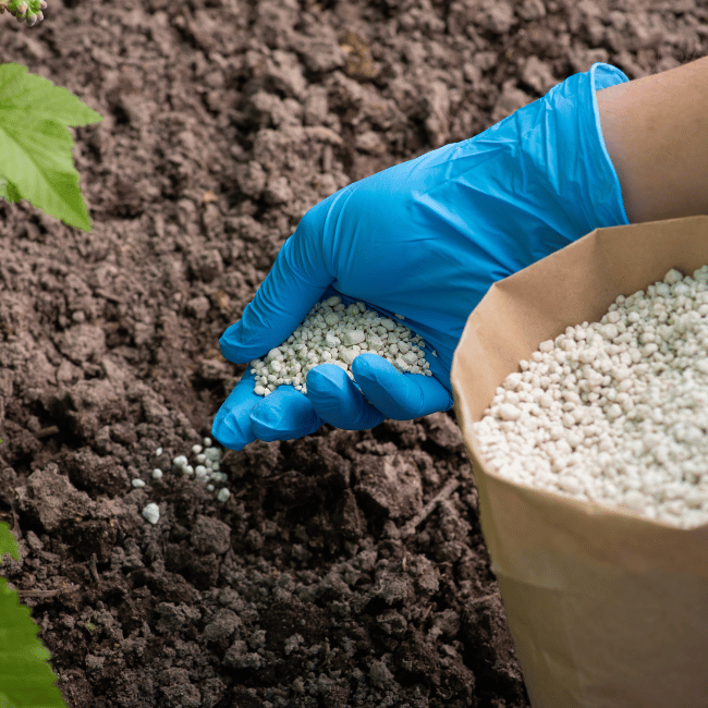 Fertilizers